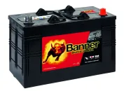 Batterie 110 AH /800 A 12 V +D