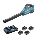 SOUFFLEUR A BATTERIE DUB362PT4