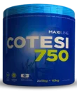 Ficelle COTESI 750 bleu 5kg X2