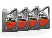 HUILE POMPE A VIDE 5L - TERRAMAX