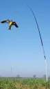 Effaroucheur oiseaux cerf-volant + mât acier