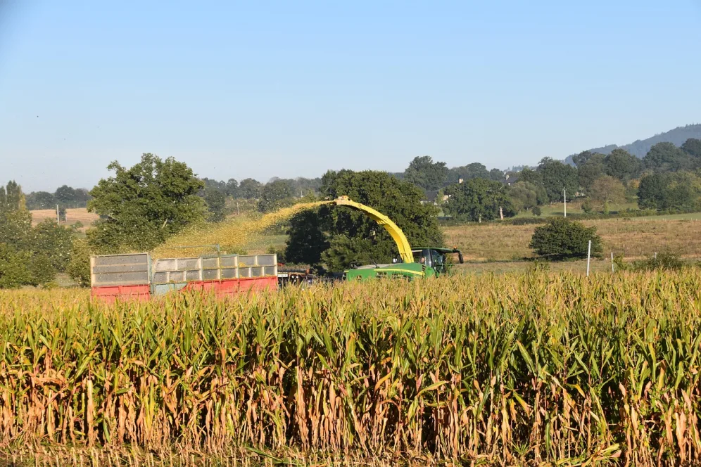 ensilage-agriculture