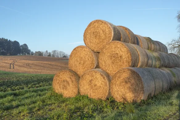 stockage-balles-enrubannees