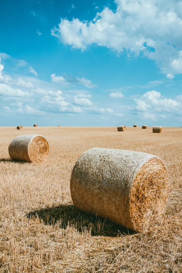 ficelle agricole et enrubannage