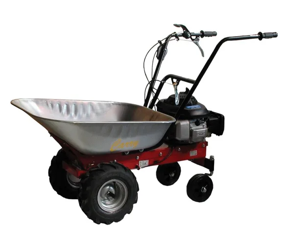 Brouette thermique 125 cc | CARRY - Image n°1