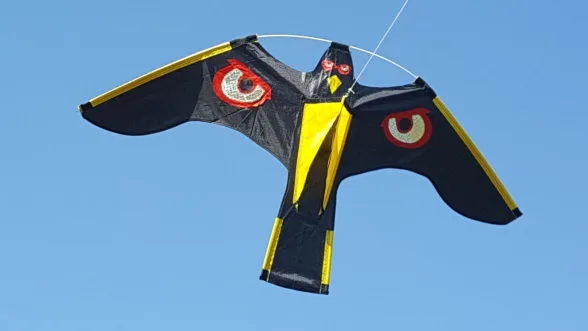 Effaroucheur oiseaux cerf-volant + mât acier - Image n°2