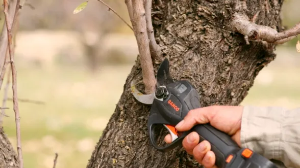 Sécateur à batterie BCL 240 | BAHCO - Image n°8