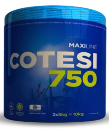 Ficelle COTESI 750 bleu 5kg X2