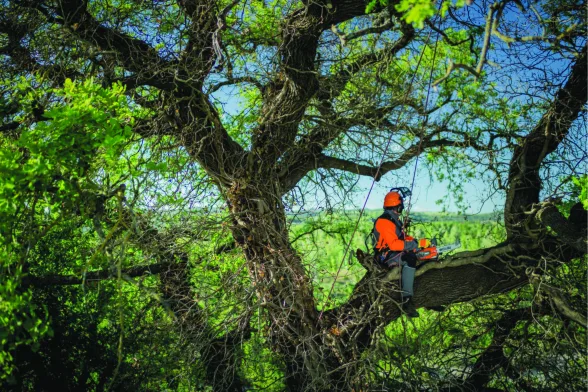 Tronçonneuse élagueuse thermique 35,1 cc GST 360 | OLEO-MAC - OLEO MAC - Image n°7