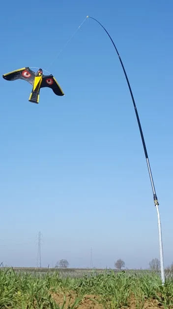 Effaroucheur oiseaux cerf-volant + mât acier - Image n°1