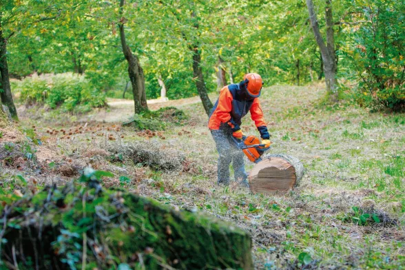 Tronçonneuse thermique 63,4 cc GS 651 | OLEO-MAC - OLEO MAC - Image n°2