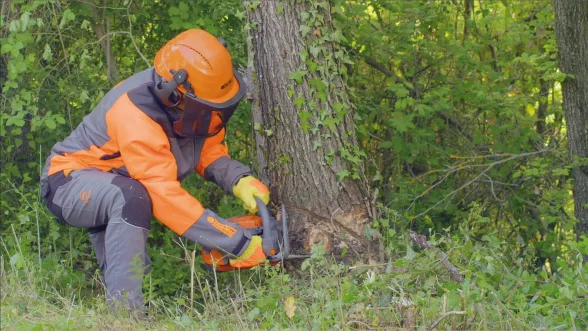 Tronçonneuse élagueuse thermique 35,1 cc GST 360 | OLEO-MAC - OLEO MAC - Image n°8