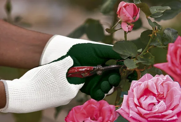 Gants de jardinage ECO FLEX | JUBA - Image n°4