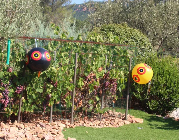 BALLON EFFAROUCHEUR X3 - RIBIMEX - Image n°2