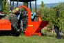 Broyeur tracteur 3 points ARGO BTN001D | DEL MORINO - Image n°5